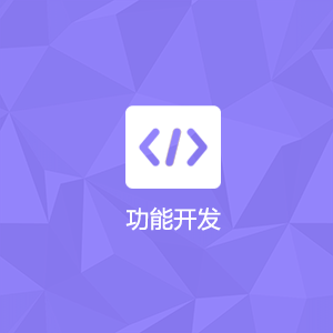 插件功能定制开发-品优源码