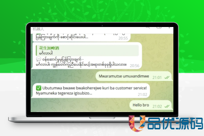 Telegram AI全自动翻译客服机器人源码/带视频搭建教程-品优源码